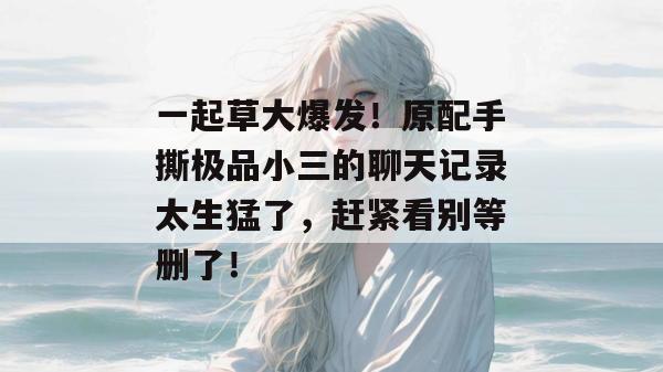 一起草大爆发!原配手撕极品小三的聊天记录太生猛了,赶紧看别等删了!